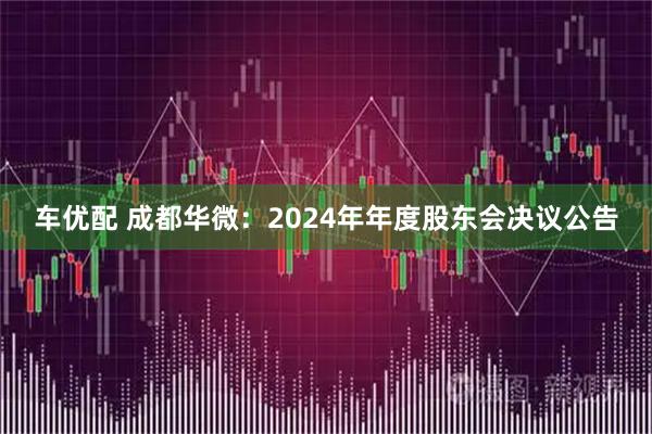 车优配 成都华微：2024年年度股东会决议公告
