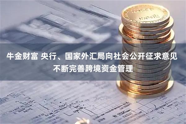 牛金财富 央行、国家外汇局向社会公开征求意见 不断完善跨境资金管理