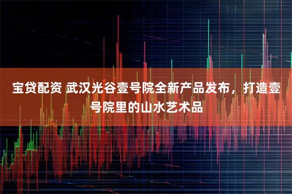 宝贷配资 武汉光谷壹号院全新产品发布，打造壹号院里的山水艺术品