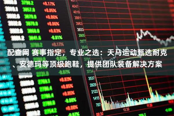 配查网 赛事指定，专业之选：天马运动甄选耐克、安德玛等顶级跑鞋，提供团队装备解决方案