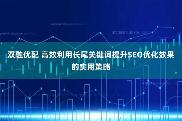 双融优配 高效利用长尾关键词提升SEO优化效果的实用策略