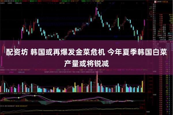 配资坊 韩国或再爆发金菜危机 今年夏季韩国白菜产量或将锐减