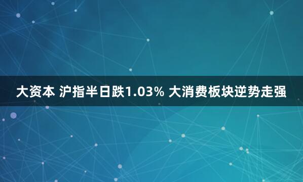 大资本 沪指半日跌1.03% 大消费板块逆势走强