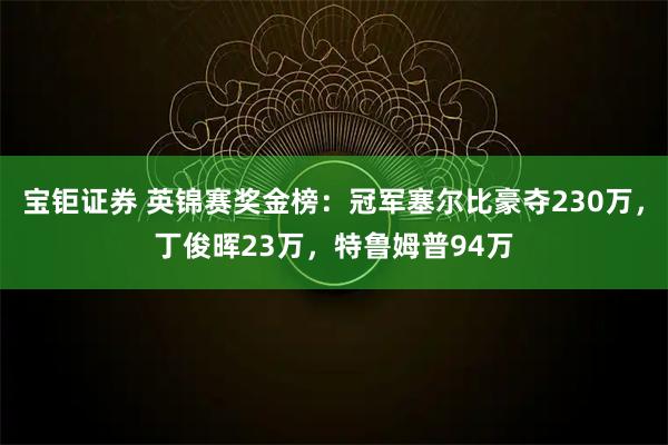 宝钜证券 英锦赛奖金榜:冠军塞尔比豪夺230万,丁俊晖23万,特鲁姆普94万