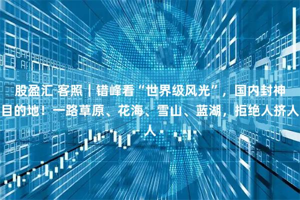 股盈汇 客照|错峰看“世界级风光”,国内封神目的地!一路草原、花海、雪山、蓝湖,拒绝人挤人