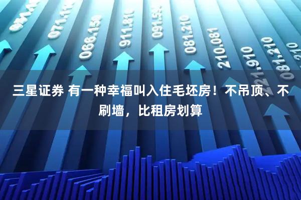 三星证券 有一种幸福叫入住毛坯房!不吊顶、不刷墙,比租房划算